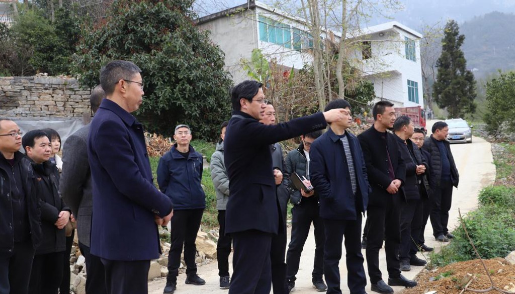 湖北省革命老区建始县县长张渊平调研老区乡村振兴绘制清江画廊