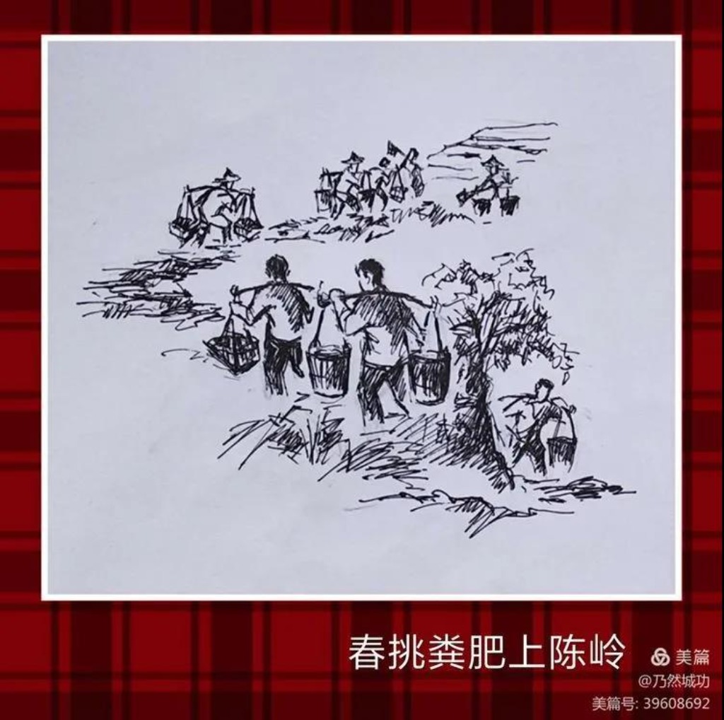 这是第一篇,陈岭开荒的连环画,陈岭,位于水门乡芦阳村,画中为知青们