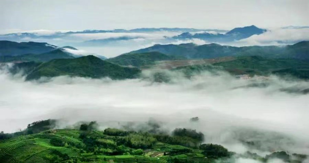 拟投资237亿的霞浦龙首山风景区山地步道景观工程又有新进展