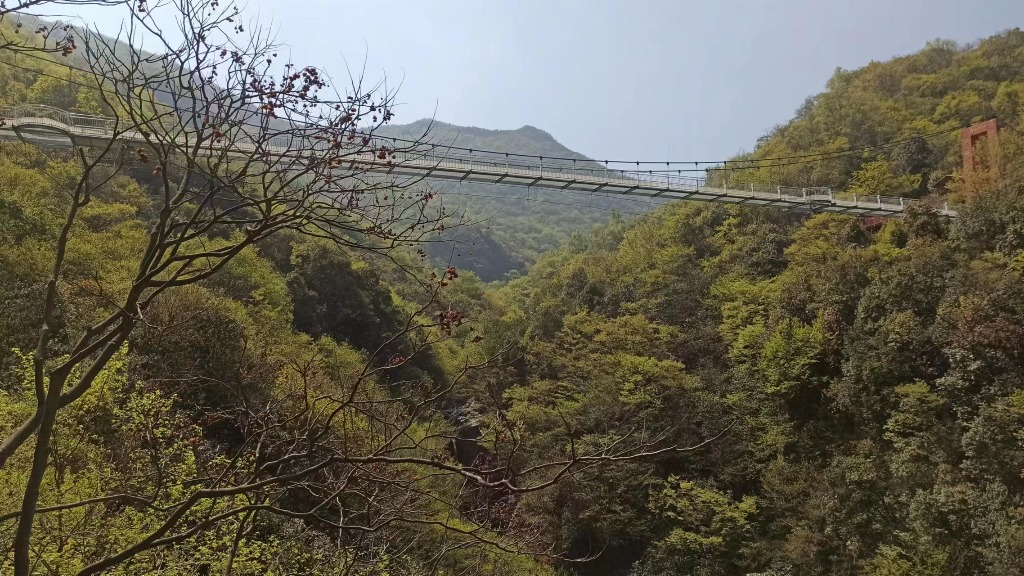 金寨龙津溪地景区门票图片